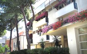 Hotel New Primula Rimini